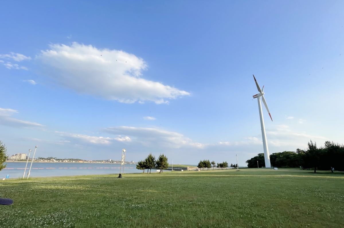 風車のある公園の画像