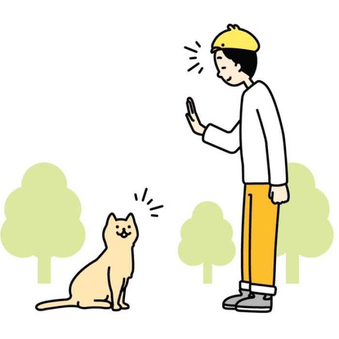 猫とあいさつしている画像